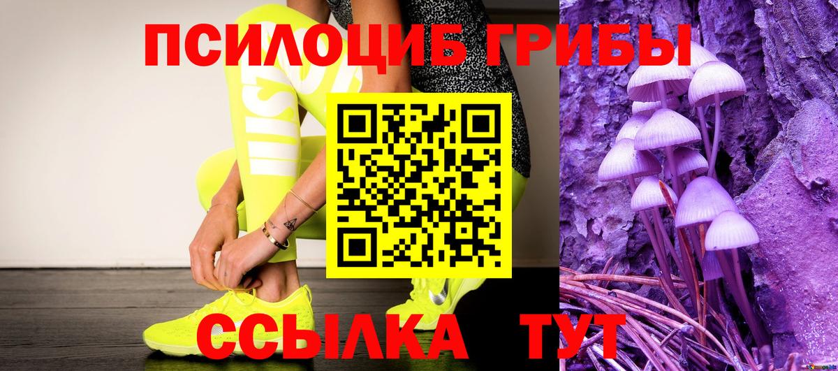 Галлюциногенные грибы GOLDEN TEACHER  Псилоцибиновые грибы Psilocybine cubensis  Курчалой  Вход с VPN 
